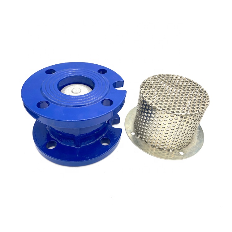 Válvula de pie para bomba de agua de 3 pulgadas