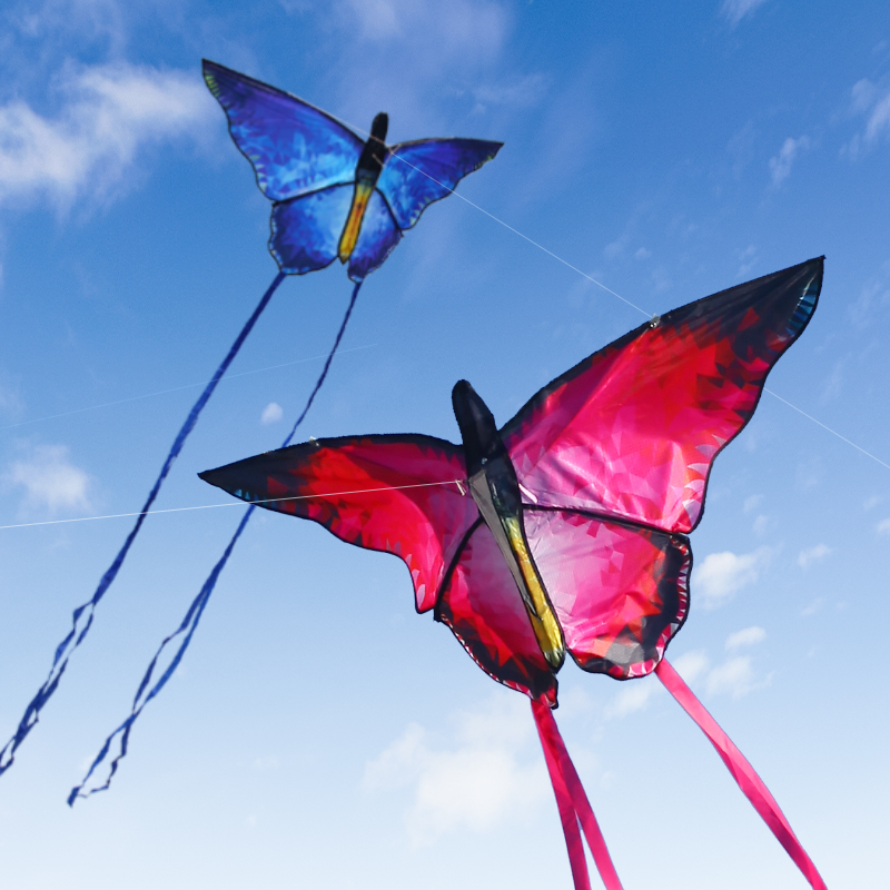 Yongjian lindos pipas borboleta de cristal vermelho pipas borboleta com 100m corda de pipa crianças adultos pipas fábrica brinquedos ao ar livre