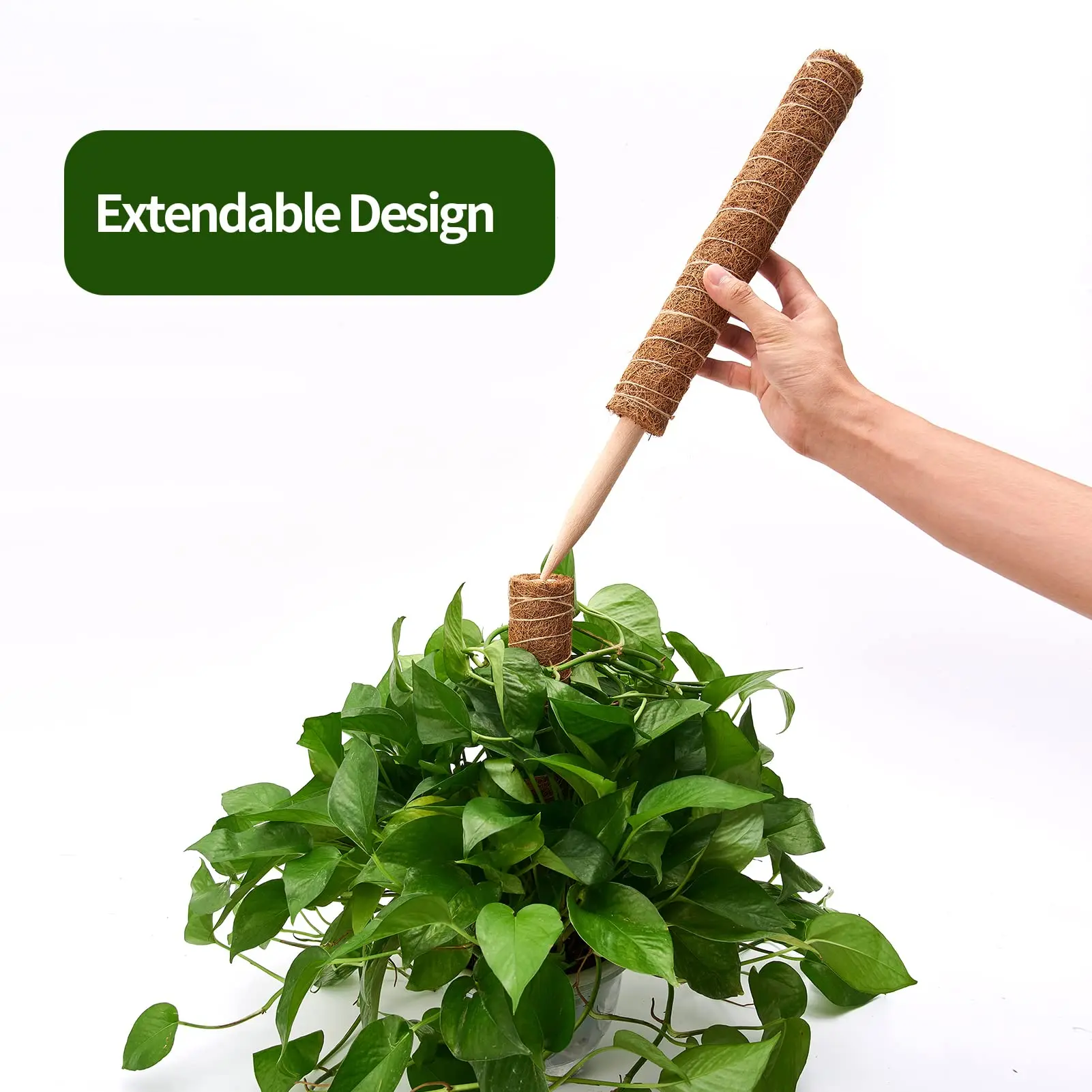 Poste de escalada de tracción para plantas, varilla de palma de coco Natural, 30cm/40cm/50cm, se puede combinar libremente con un pilar de jardín empalmado, 1 ud.