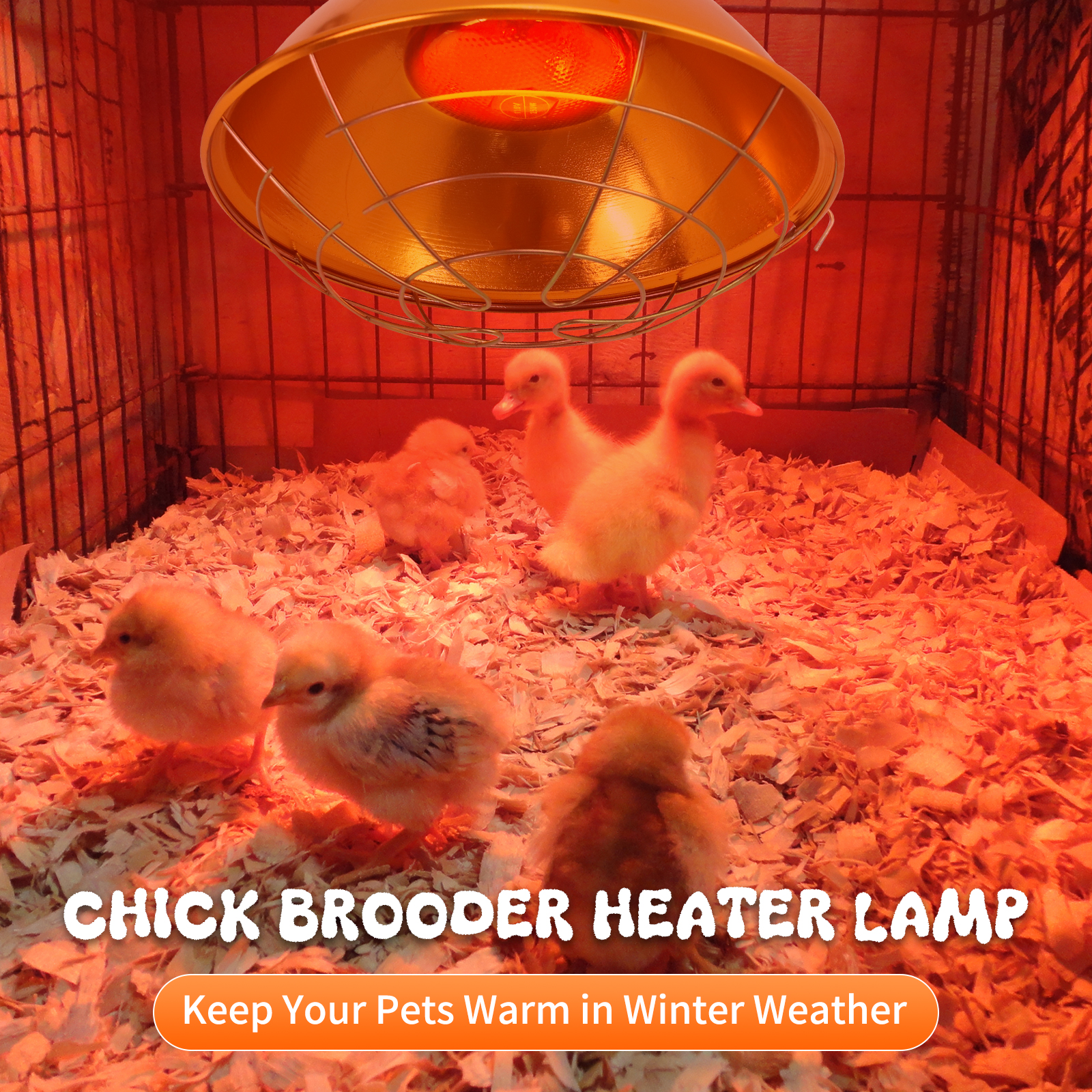Lâmpada de calor para galinheiro, altura de suspensão ajustável, à prova d'água, para ambientes internos e externos, usada para anfíbios, pintor, pato, plugue UE