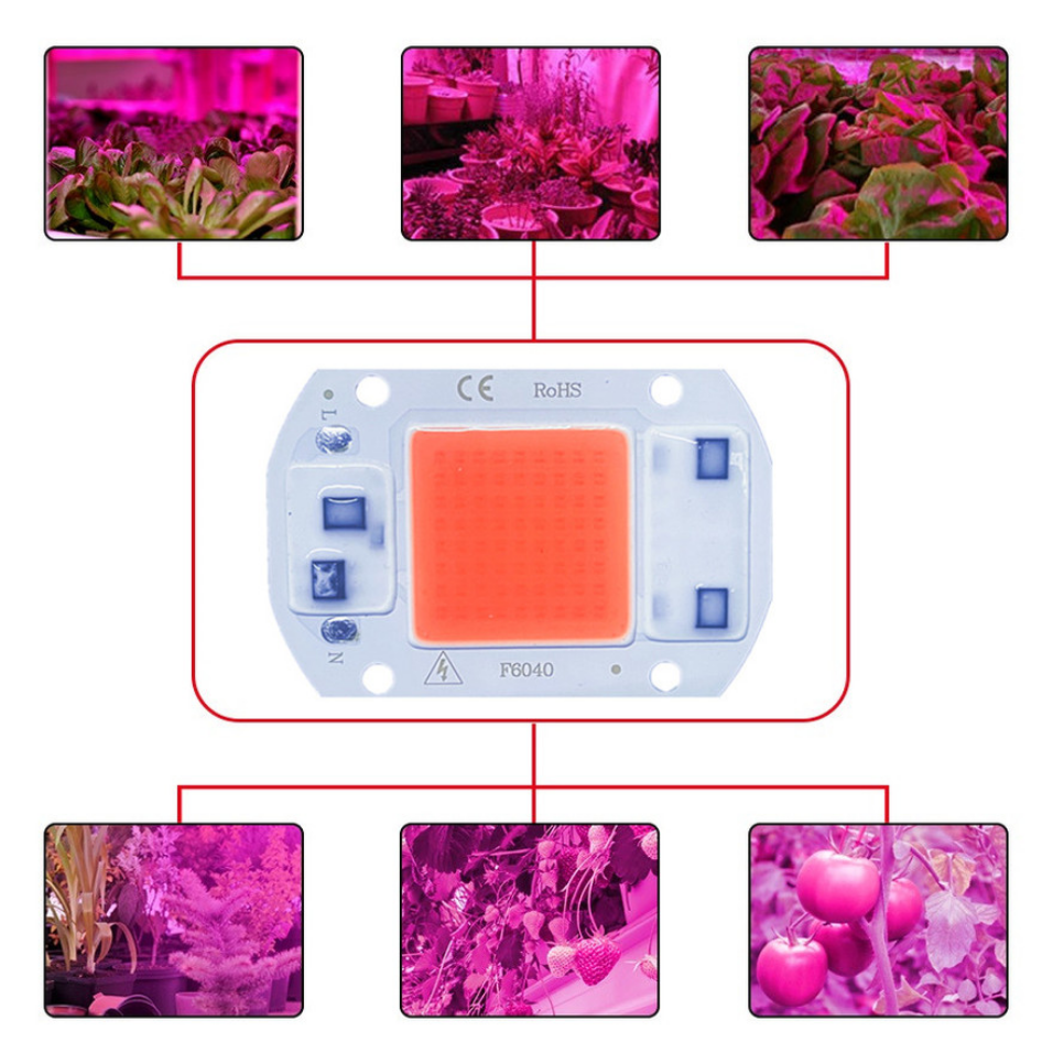 Chip de led 20w 30 50 cob, espectro completo, sem necessidade de driver, contas de lâmpada led para holofote de luz de inundação, espectro completo, iluminação diy