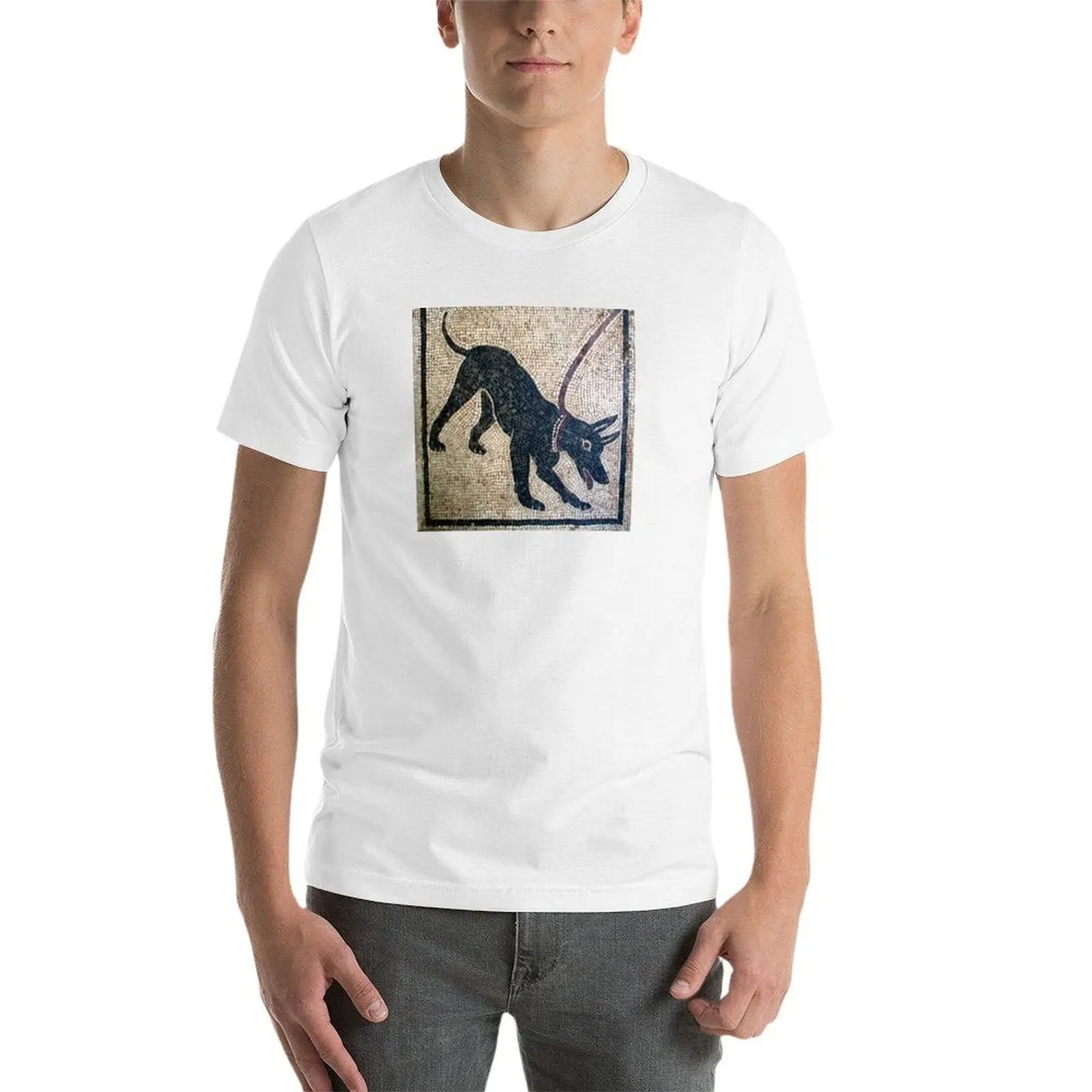 Cave canem- kaos Pompeii kuno untuk pria kaos lucu kaos katun