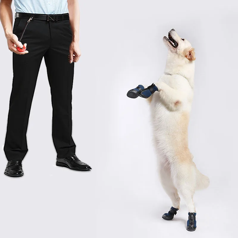 Pet Cat Dog Training Clicker Plastic New Dog Click Trainer Portable Auxiliary Adjustable Wristband Sound Key Chain Pet Supplies