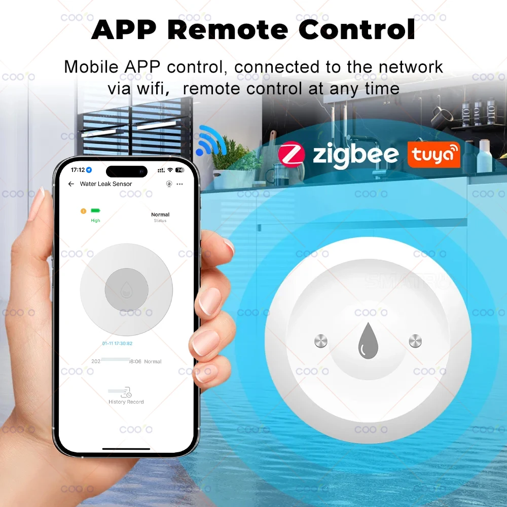 Ewelink Zigbee inteligentny czujnik wody detektor wycieków powodziowych zdalne monitorowanie dla kuchni/łazienki wsparcie asystent domowy Zigbee2mqtt