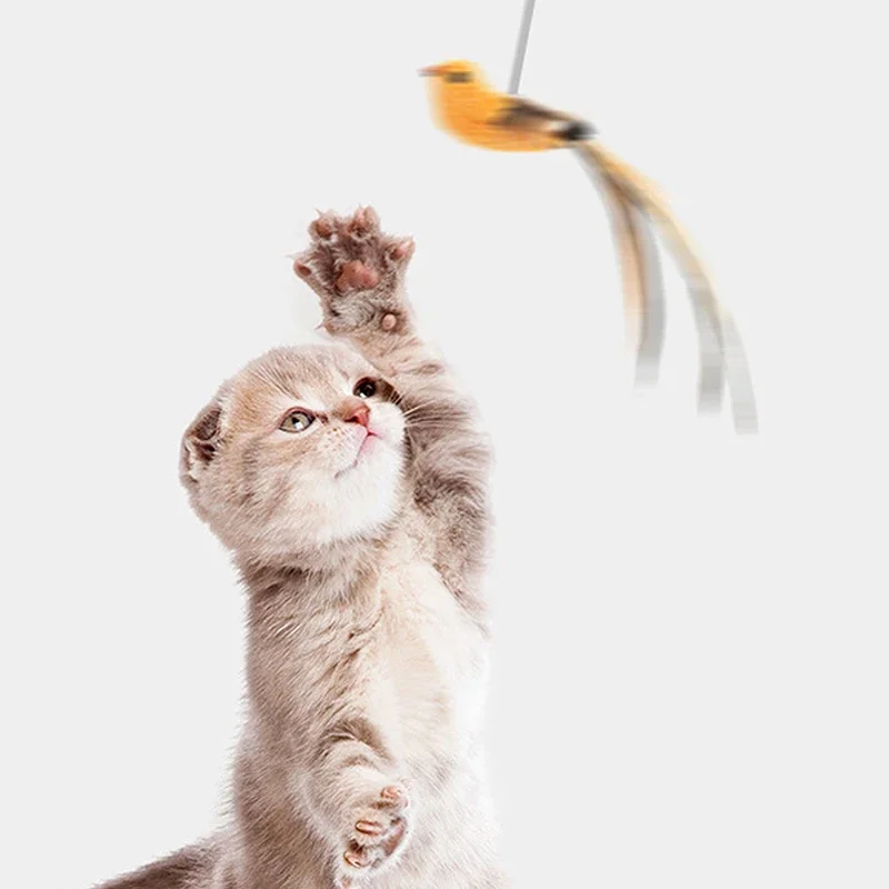 จําลองนกแมวของเล่นอัพเกรดอีพ็อกซี่ Sucker ลวดเหล็กยาว Rod Feather Cat Teasing Stick Cat Self Hi ไม่มีส่วนผสมที่เป็นอันตราย
