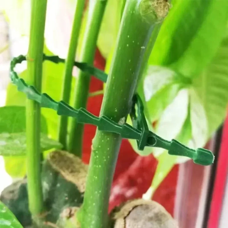 Reusable Garden สายผูกพืช Vine Tree พุ่มไม้สนับสนุน Fastener ล็อคไนลอนซิปปรับสาย TIES Organizer เครื่องมือ