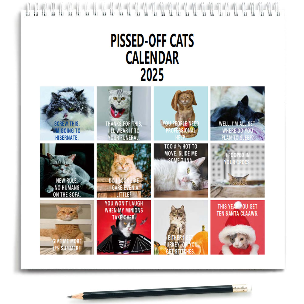 2025 Pissed Off Cats Kalender, Pissed Off Cats 2025 Wandkalender, 12-Monats-Planer für Witzgeschenk, freches Geschenk für Katzenliebe