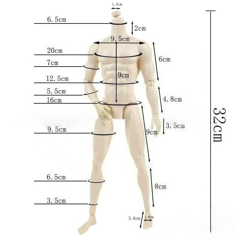 Мужское тело куклы 30 см для куклы 1/6 FR с белой/обычной/коричневой кожей, игрушки, аксессуары