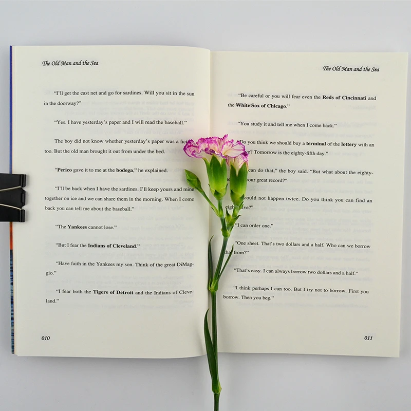 Der alte Mann und das Meer von Ernest Hemingway World, klassische literarische Romane, englisches Buch, Taschenbuch