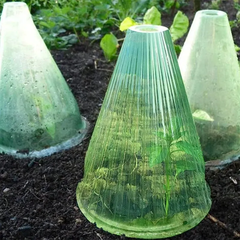 5 ชิ้น Growth กล่องปลูกเต็นท์ Reusable Square ใช้พืชนาฬิกาปกป้องพืชจากนก Frost และ Snail ความเสียหายสีเขียว
