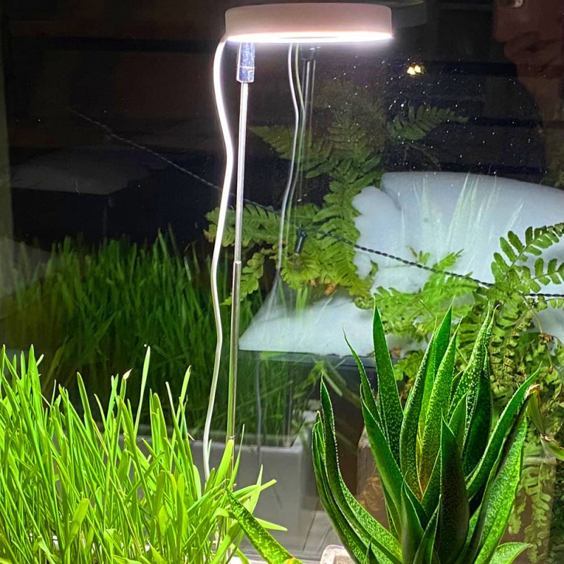 Luz de crescimento LED solar interna de espectro completo, escurecimento de quatro engrenagens, viridiplantae carnudo, luz de preenchimento telescópica de piso de flor