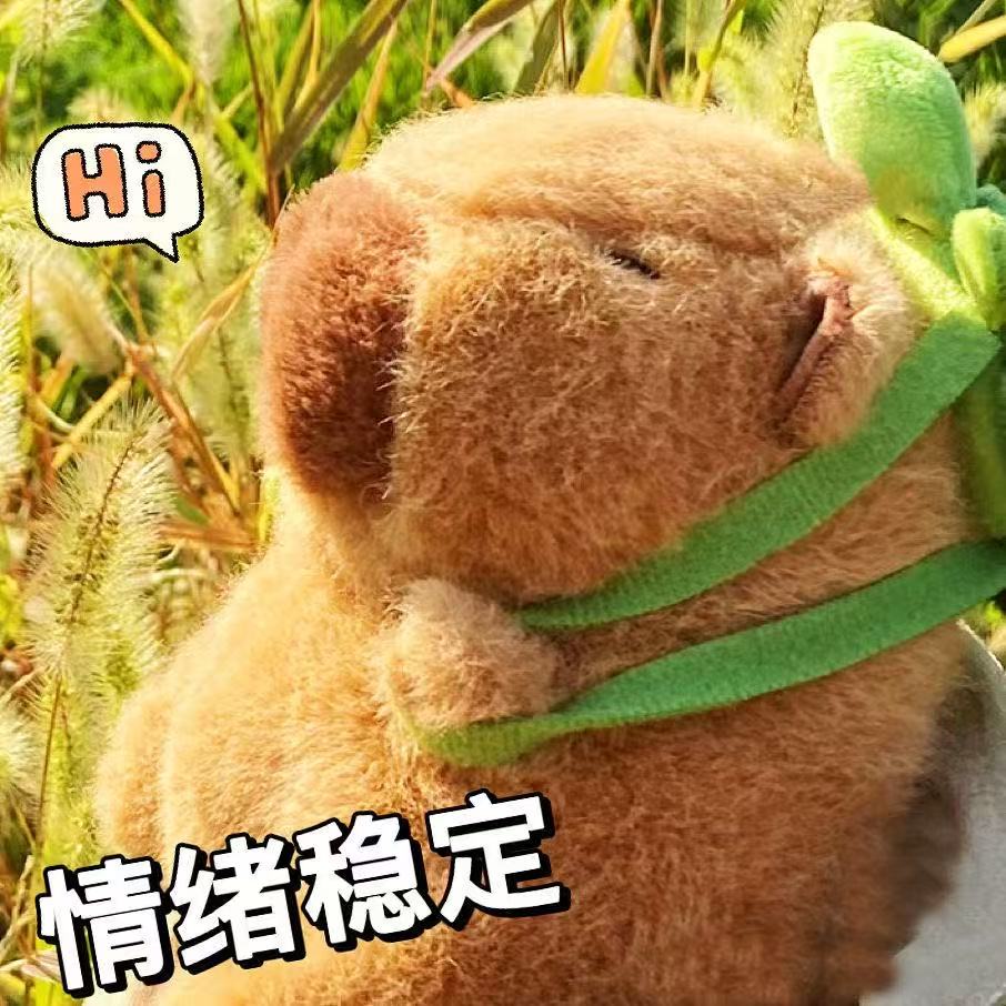 Schattige Schildpad Rugzak Capibara Aardbei Hoed Capibara Knuffel Knuffels Zachte Pop Kinderen Speelgoed Verjaardagscadeau Hanger Decor