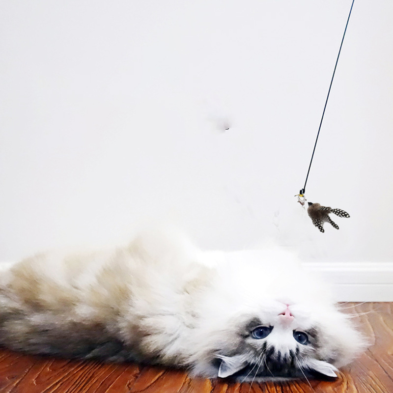 Katzen-Teaser-Stick mit Glöckchen, Federn und Saugnapf mit langem Stab