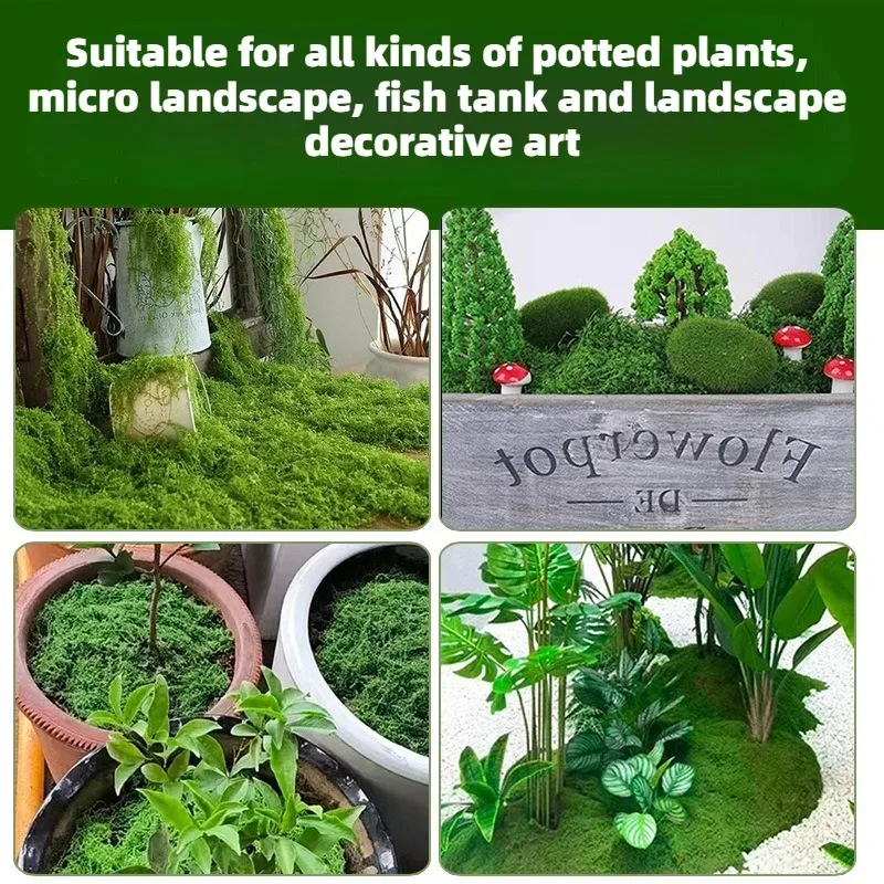 Plantas verdes artificiales, hierba de musgo, decoración del hogar, sala de estar, jardín, Mini paisaje, flor falsa, manualidades DIY