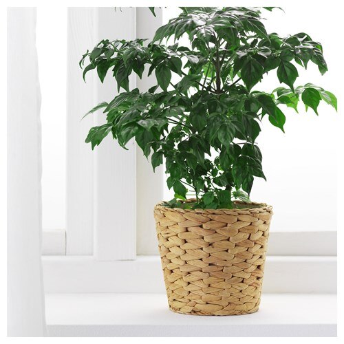 Pot Bunga, Jardiniere Bambu, Bibit Pot Tanaman Pot Bunga, Pot Bunga, Model 2021, Pengiriman Cepat