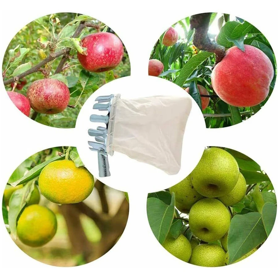 Strumenti per la raccolta di frutta Raccoglitore Raccoglitore di alberi Raccoglitore di frutta Bacche Attrezzo da giardinaggio Forniture per lavori in giardino Utensili Gadget agricoli