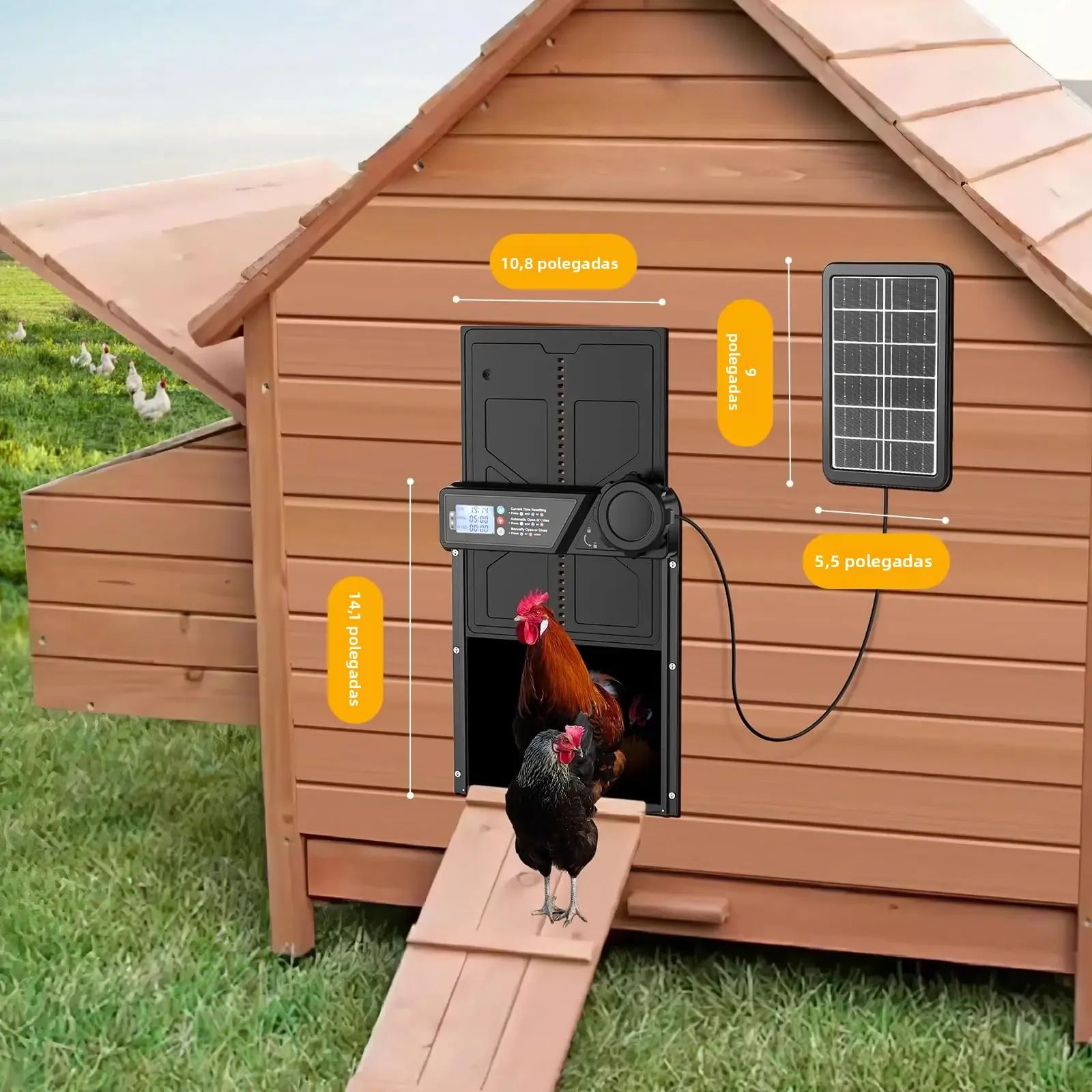 Porta automática de galinheiro movida a energia solar, porta automática de galinheiro com display LCD com temporizador Porta de frango de liga de alumínio com controle remoto