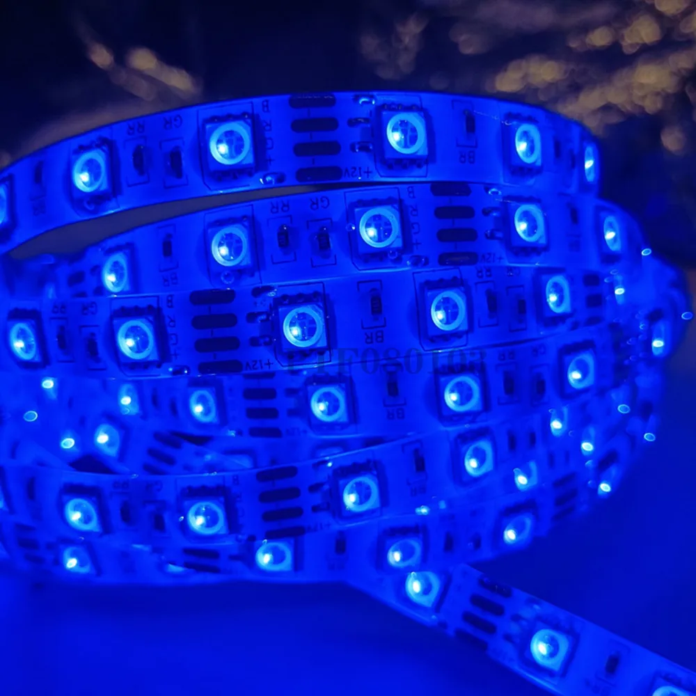 Striscia LED 5050 DC 12V 24V RGB Bianco caldo 5 metri Impermeabile Flessibile Striscia di luce 60LED/Cinta pigmentata Luces Lampada Nastro Tv Retroilluminazione