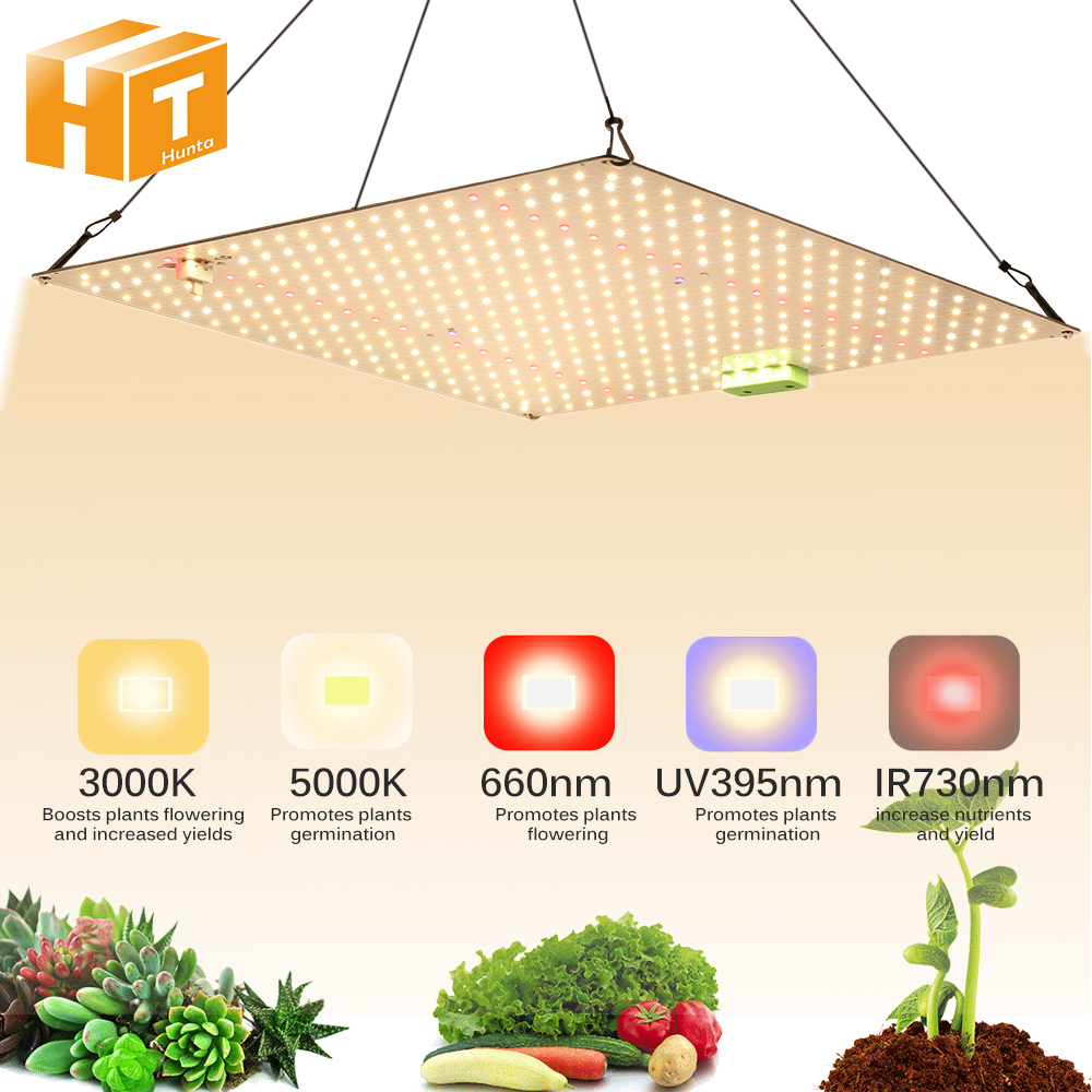 1000W Vollspektrum-LED-Wachstumslicht Quantum Sunlike Wachstumslampe LM281B für Gewächshauspflanzenwachstumsbeleuchtung Dimmbare Lampe