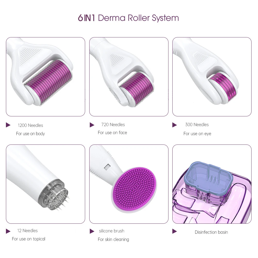 Derma rollerセット6 in 1 DRS Dermaroller Beard roller Face roller Derma Rolling System頭皮毛髪成長マイクロニードルセット