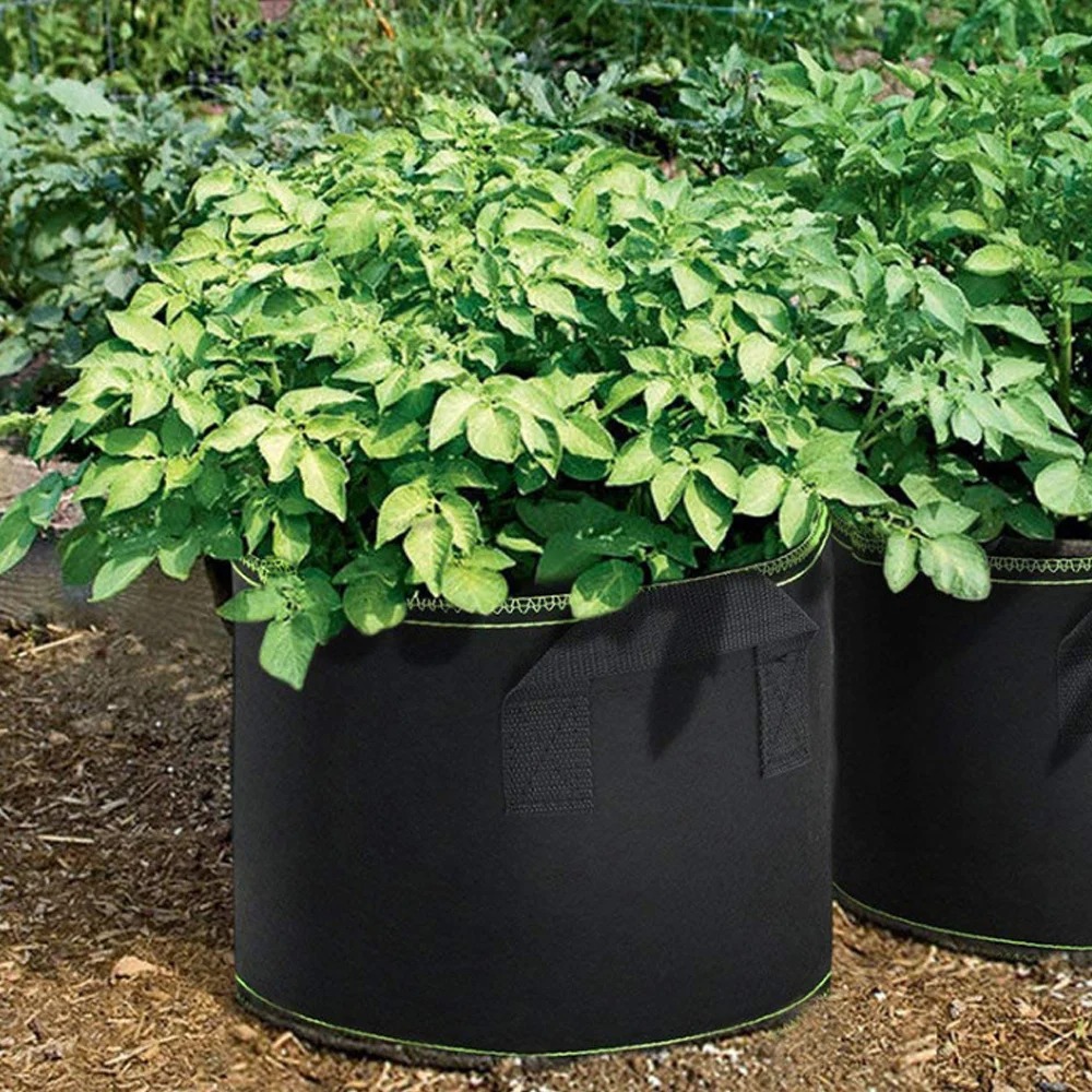 3 sacos de vegetais/flor/plantas dos pces 1 galão engrossado não-tecido crescer sacos vasos de tecido de aeração com alças