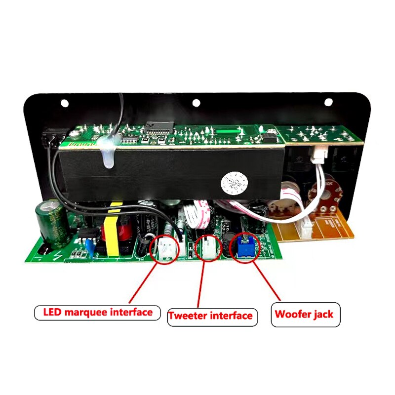 Digital Bluetooth Amplificador Board, Subwoofer, Microfone Duplo, Karaoke Amp Speaker, Home Theater, DIY Versão Recarregável, 220V, 12V