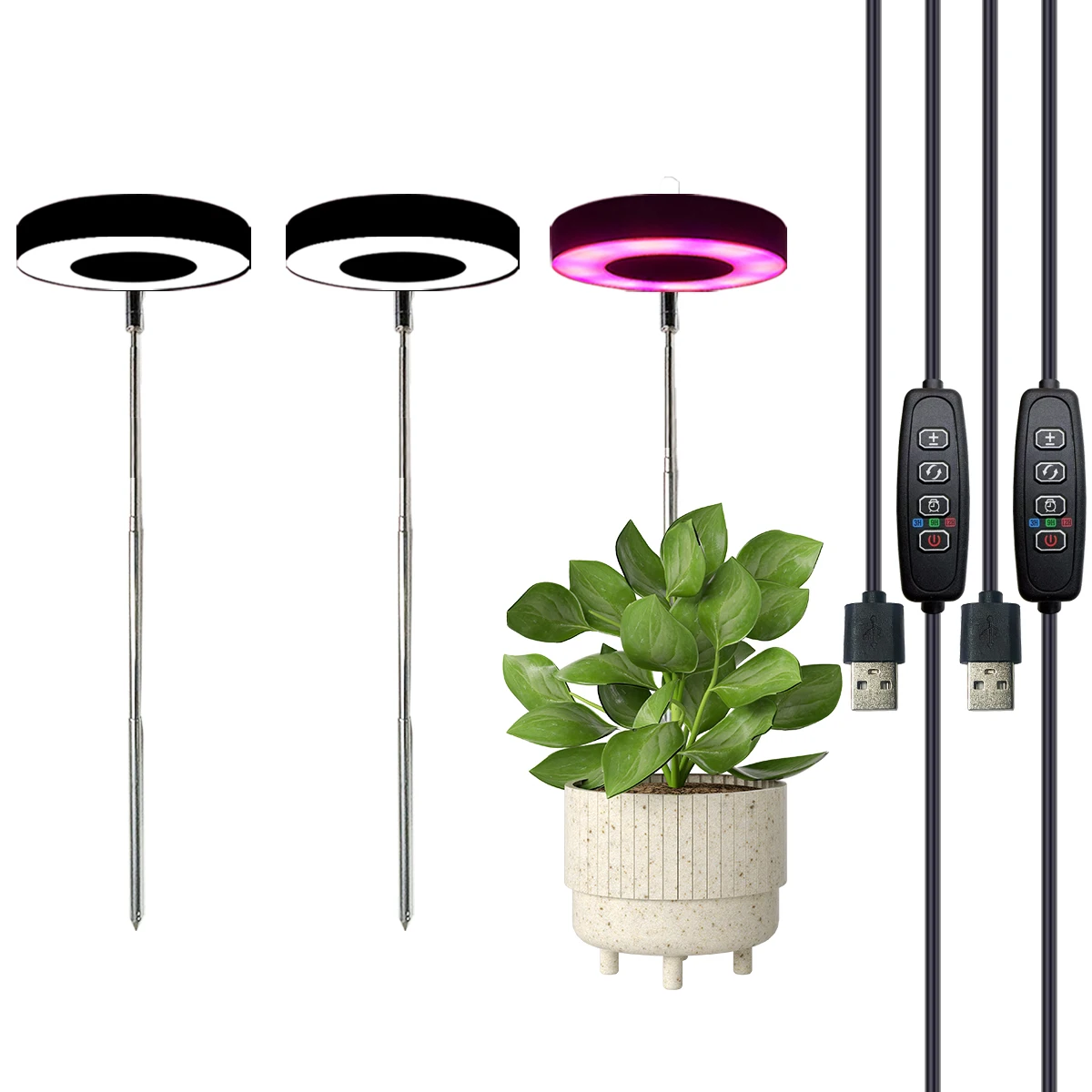 Drie kleuren met basisplantlicht Volledig spectrum LED-groeilicht voor kamerplanten 3/9/12 timing in hoogte verstelbaar 10-niveaus dimmen
