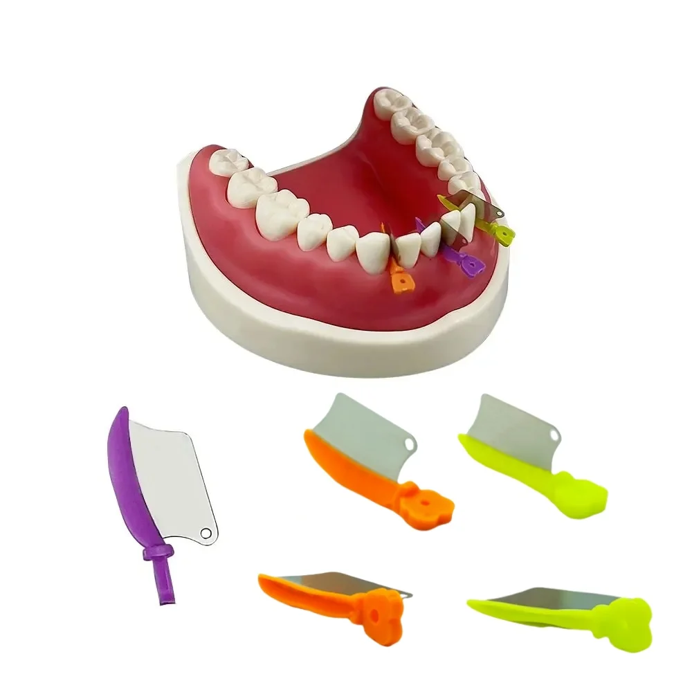 50Pcs Box Dental Keil Prime Zähne Interproximal Keil Schutz Mit Metall Kunststoff Keil Messer Dental Stahl Matrix S M L größen