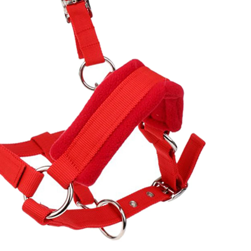 Horse Halter Bridle Rein Detachable Head Collar Strap Stable Protective