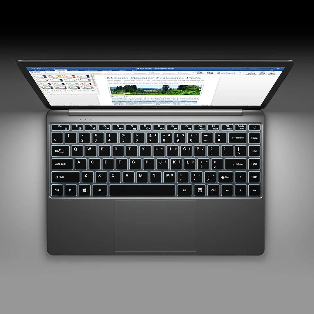TECLAST Portátil F7 Plus, 14,1 pulgadas, Celeron N4100, 8GB GB RAM y SSD 256GB, Windows 10, pantalla FHD 1920x1080 IPS, UHD 600 GPU