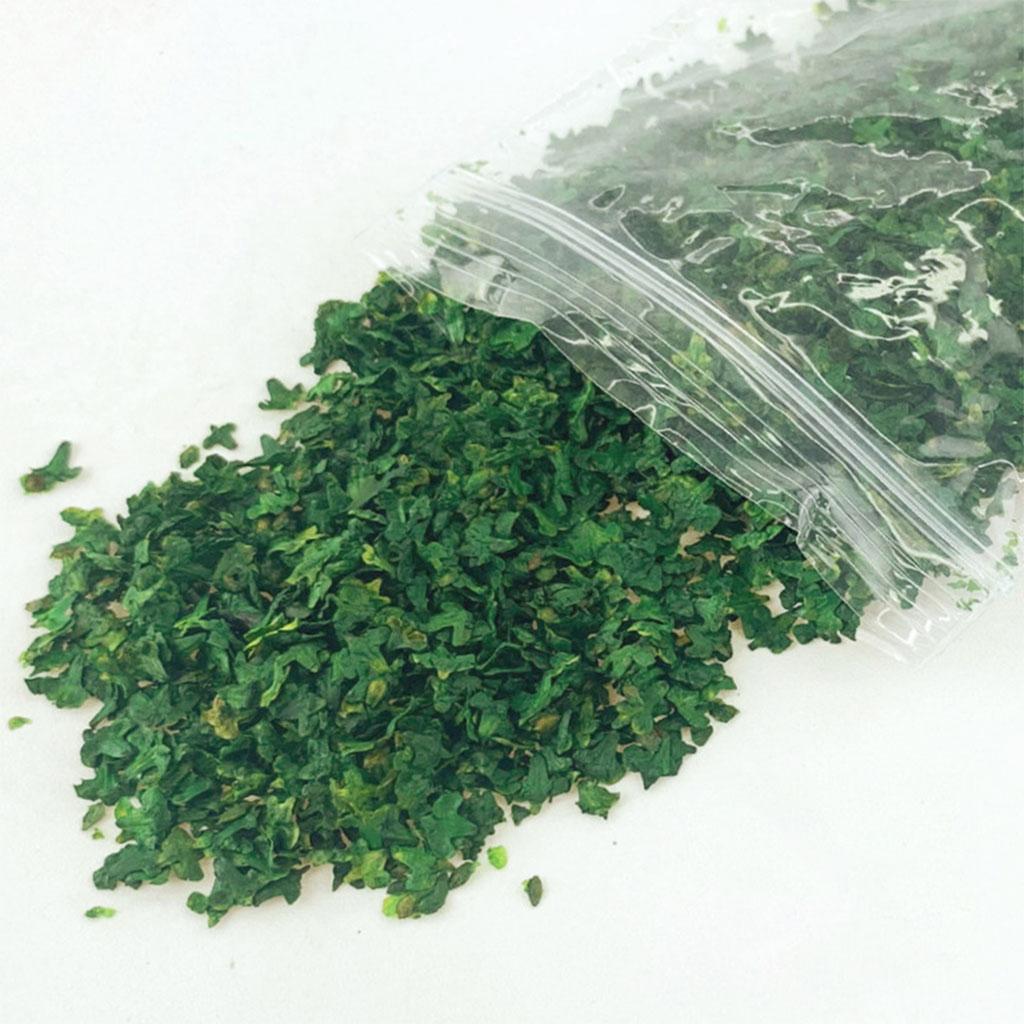 手作りの装飾,33mlのマイクロランドスケープテーブル,グラス,ミニチュアリーフ,盆栽のミニチュアモデル,庭の装飾