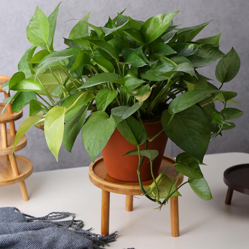 Suporte de madeira para planta de interior Fezes altas redondas Suporte decorativo de bonsai Sala de estar moderna Mesa lateral