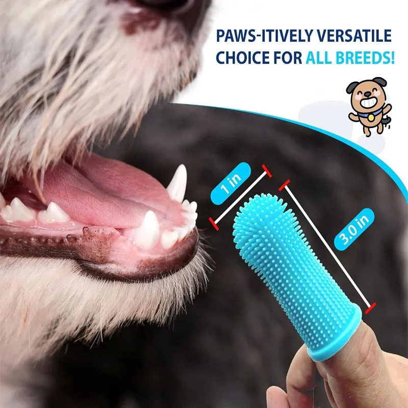 Interactieve Lancering Training Kattenspeelgoed Creatieve Kittens Mini Pompons Games Stretch Pluche Bal Speelgoed Kat Benodigdheden Huisdier Accessoires