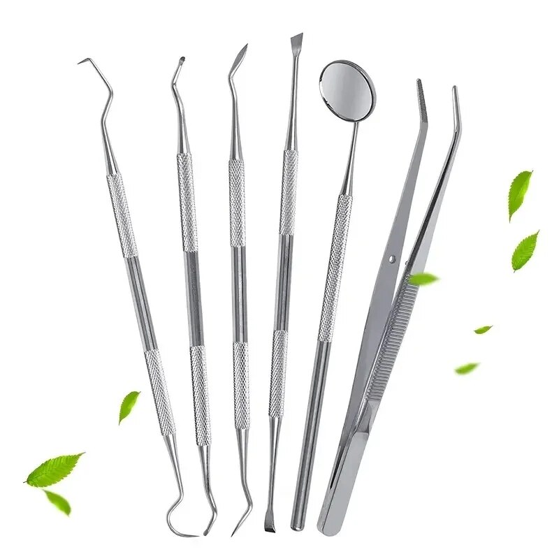Herramientas bucales de dentista de acero inoxidable, limpieza de hilo dental, eliminación de sarro, fácil de limpiar, no es fácil de romper, Kit de cuidado de espejo Dental