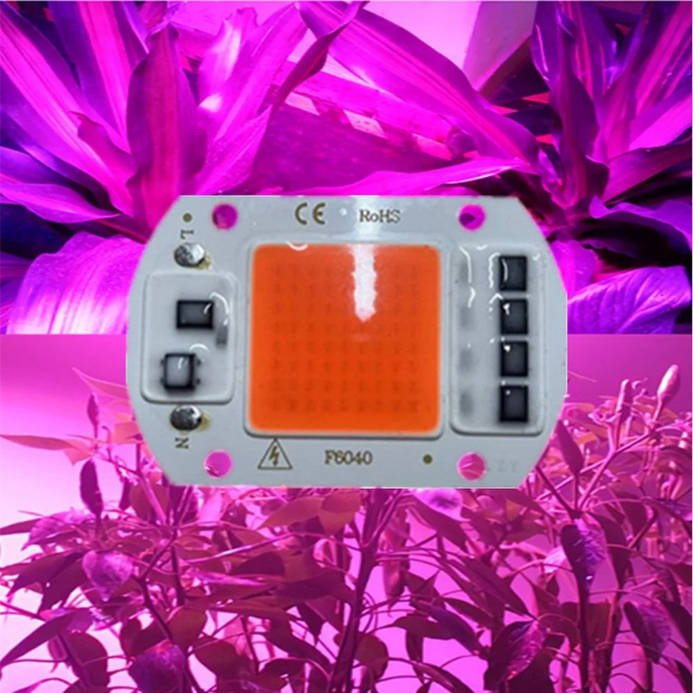 Đèn LED Âm Trần COB Chip Ánh Sáng Suốt AC 220/110V 10W 20W 30W 50W-100W Không Cần Trình Điều Khiển Cho Tăng Trưởng Hoa Cây Con Phát Triển Vật Có Đèn Chiếu Sáng