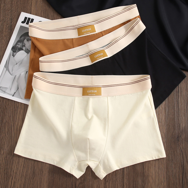 We.Fine 3 pièces 2024 nouvelle mode hommes slips coton respirant caleçon Sexy confortable pour hommes couleur unie hommes caleçons