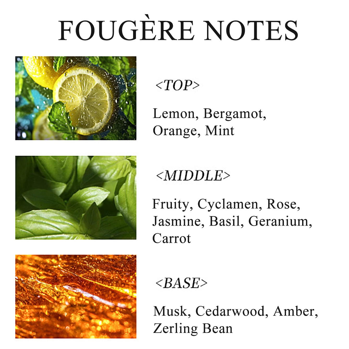 100ML 3.4FL.OZ Fougere parfum pour hommes, EDP longue durée pour hommes colonnes pour hommes ambre frais, citron, menthe, Rose, parfum de musc
