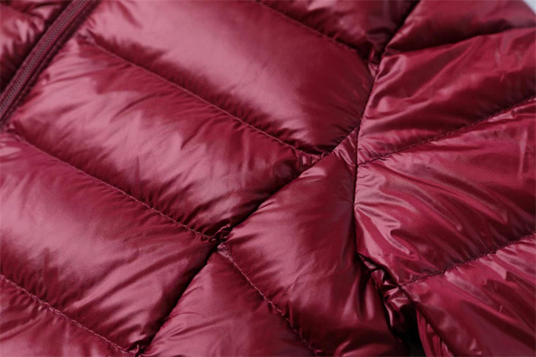 Vrouw Lente Gewatteerde Hooded Lange Jas Witte Eendendons Vrouwelijke Overjas Ultra Licht Slanke Effen Jassen Jas Draagbare Parka