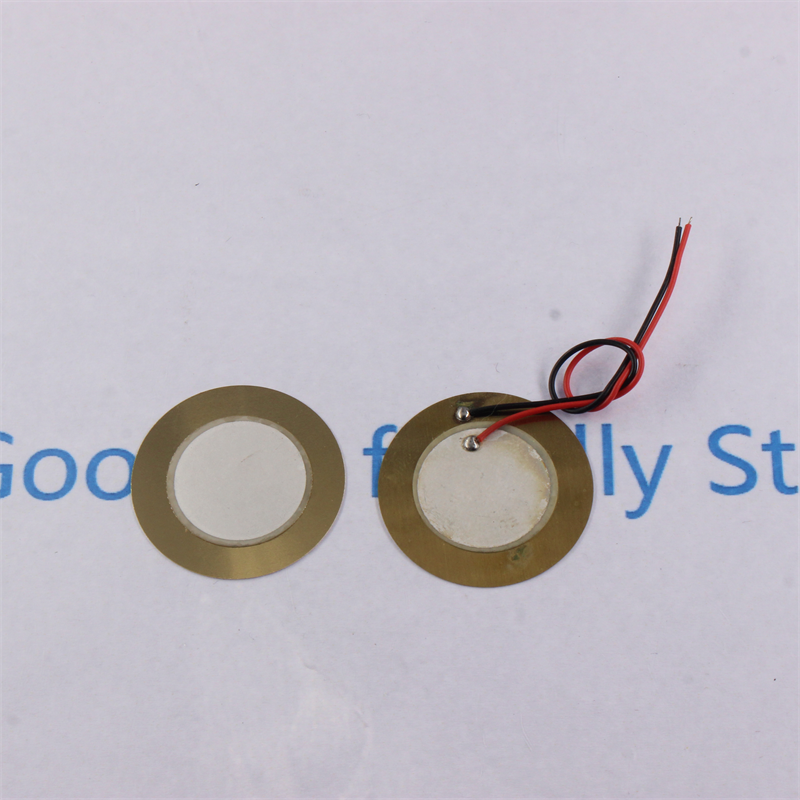10pcs Piezoelectric Piezo Ceramic Wafer Plate Element For Buzzer Loudspeaker Diameter 12mm 15mm 20mm 27mm 35mm 50mm