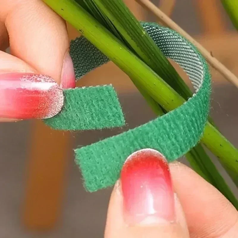 Fascetta per piante Pianta autoadesiva regolabile Cavo in nylon Gancio Anello Supporto Fasciatura per spago da giardino Strisce di nastro di fissaggio riutilizzabili