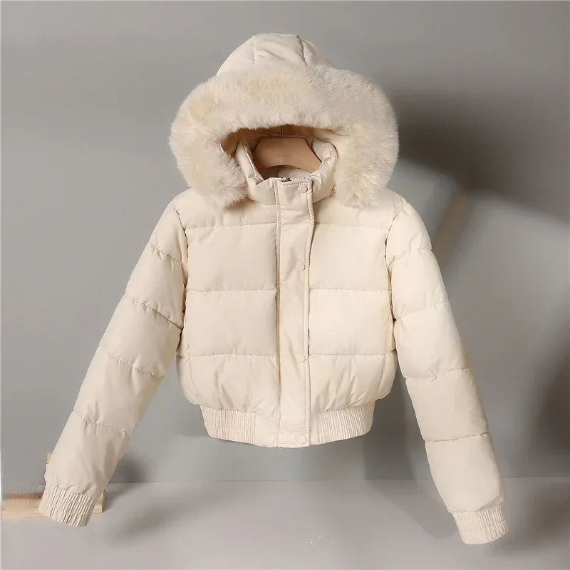 Chaqueta acolchada con capucha para mujer, abrigo de algodón grueso para invierno, abrigos cálidos para panadería, abrigo de algodón holgado con cuello de piel grande 2024