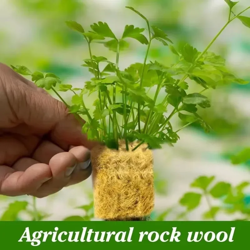 Sponge Block Starter Plugs Rock Wool Grow Cubes Soilless Substrate Seeded Planting Spong Plug Seedling Block Garden Supplies