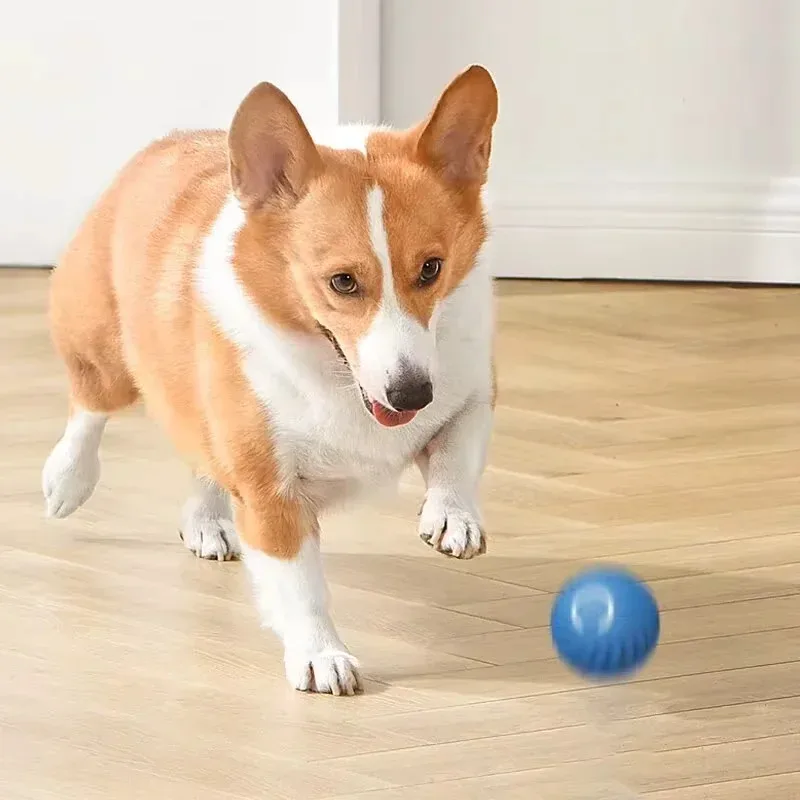 1 stks Hondenspeelgoed Intelligente Zwaartekracht Sprongbal Oplaadbare Bijtvaste Rollende Bal Kat En Hond Chase Interactief Huisdier Speelgoed
