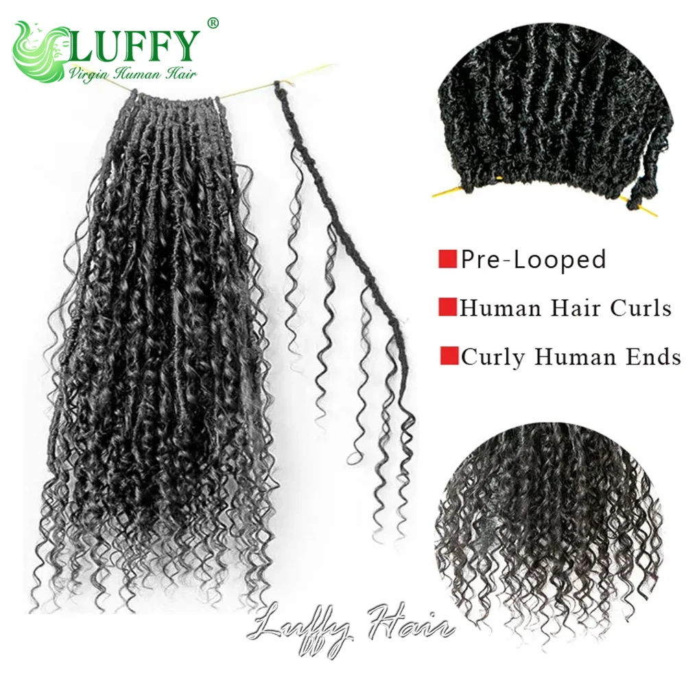 Boho Dreadlocks extensões de cabelo, Cachos humanos com termina encaracolada, Pré looped Crochet, Boho Locs, Crochet cabelo