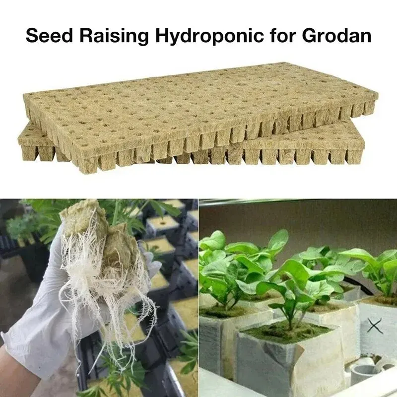 50 Uds. De cubos de medios de cultivo hidropónico de lana de piedra de 25x25x25mm, cubos de plantas, sustrato sin suelo, tapón de lana de roca semilla, bloque de plántulas