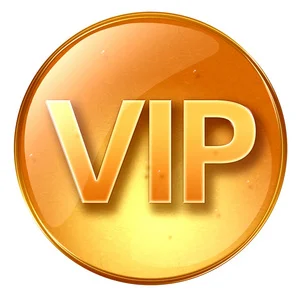 Customization Payment Link