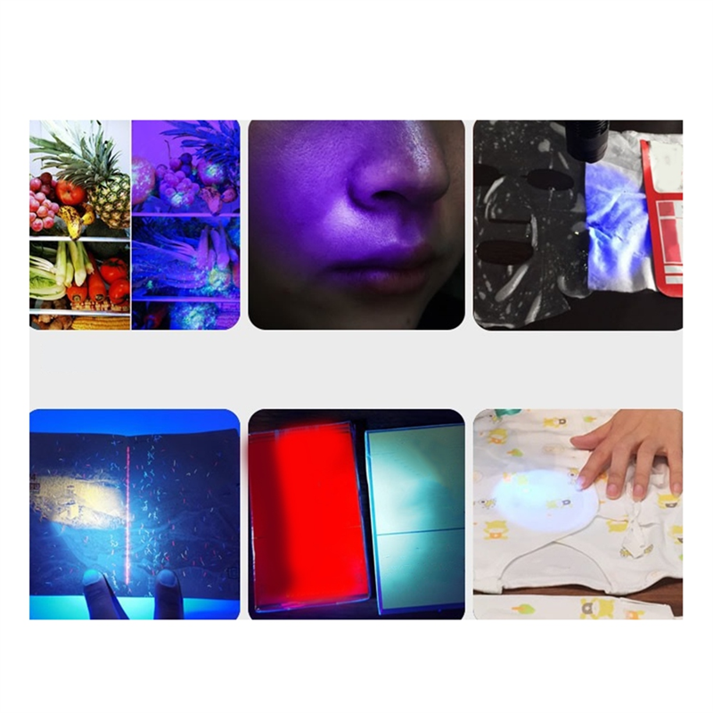 Lanterna de detecção de luz do purpler SCLS para detecção doméstica de resíduos de vegetais e frutas