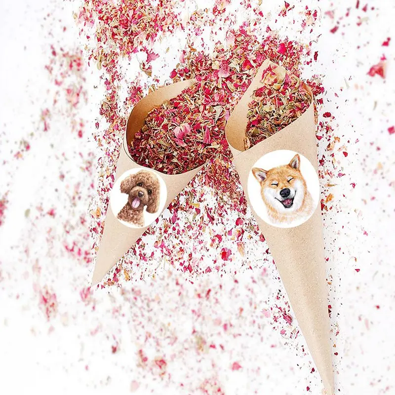 50-500 ชิ้นเด็กสติกเกอร์รางวัลลูกสุนัขสุนัขรูปแบบกําลังใจสติกเกอร์สําหรับครูสัตว์น่ารักสติกเกอร์เครื่องเขียนสติกเกอร์