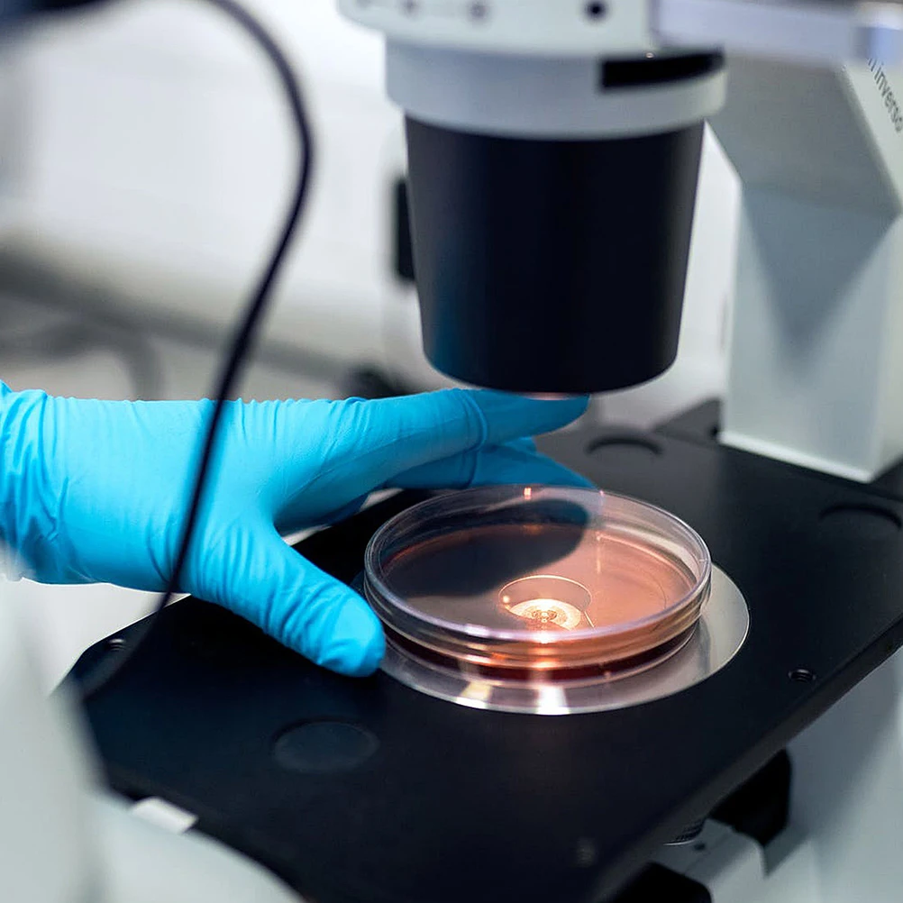 Piastre per petri da 20 pezzi Piastre per coltura trasparenti Laboratorio di ricerca scientifica Fungo Plastica biologica resistente riutilizzabile 70mm