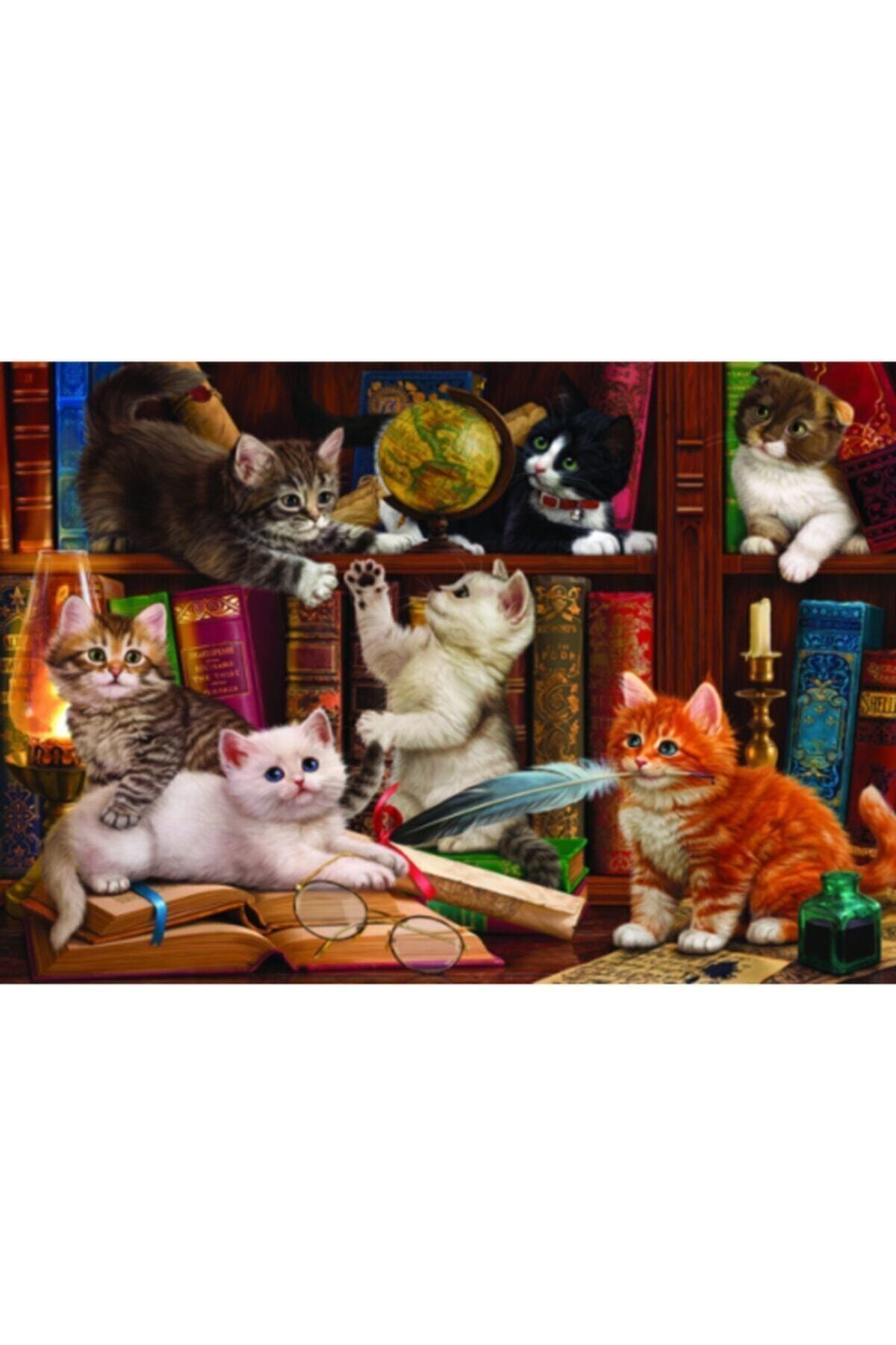 Teka-teki Kucing 500 Buah